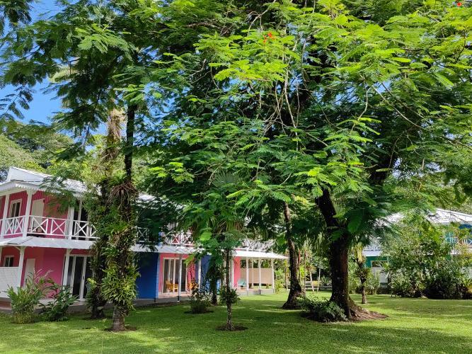 Tortuga Lodge & Gardens By Boeena Tortuguero Szoba fotó
